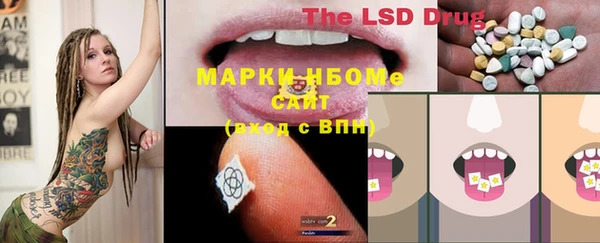 мдпв Вяземский